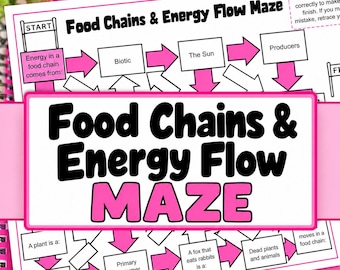 Food Chains & Energy Flow Maze, Science Vocabulary Activity, Grades 4-6