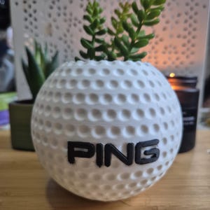 Peut inclure: Un pot de fleurs blanc en forme de balle de golf avec le mot "PING" en lettres noires. Le pot est rempli de plantes succulentes vertes. Le pot de balle de golf a une surface alvéolée. D'autres plantes et une bougie sont en arrière-plan.