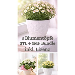 以下が含まれることがあります： エンボス加工された花の模様が施された白い植木鉢。鉢には、白と黄色の花が咲く植物が入っています。画像には「3 Blumentöpfe STL + 3MF Bundle inkl. Lizenz」というテキストが含まれています。