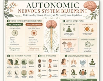 Autonomic Nervous System Poster, Sympathetic vs Parasympathetic Chart, Fight Flight Rest Digest Printable, Nervous System Guide