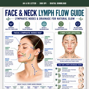 Gids voor lymfestroom in gezicht en hals, kaart van de lymfedrainagepunten in het gezicht en stappenplan voor Gua Sha, huidverzorgingsschema voor een natuurlijke glow, printbaar PDF-bestand