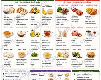 Ulcerative Colitis Diet Food List, IBD Flare Friendly Foods, 50+ Soft Easy to Digest Choices, Gut Health Food Guide, Printable PDF