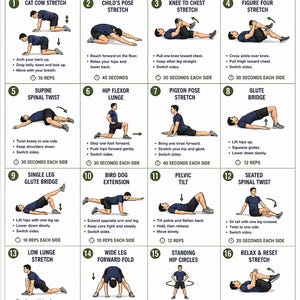 May include: An instructional chart titled Strong Hips, Strong Back Daily Routine featuring 16 numbered illustrations of mobility and flexibility exercises. Each exercise includes a brief description, repetition or time count, and benefits listed below.