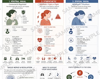 Polyvagal Theory Printable, Nervous System States Chart, Vagus Nerve Regulation Poster, Mental Health Wellness Therapy Tool, Printable PDF