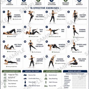 Könnte beinhalten: Ein Trainingsplan mit dem Titel APRON BELLY WORKOUT BLUEPRINT, der 16 nummerierte Übungsillustrationen, tägliche Erfolgstipps, einen wöchentlichen Fortschrittstracker und Diagramme der Zielbereiche für Rumpfkraft und Körperhaltung enthält.