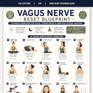 Vagus Nerve Reset Poster, 15 Exercises for Stress Relief Printable, Nervous System Wall Art, Anxiety Relief Wellness Guide, A4 US Letter