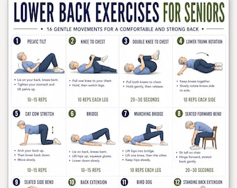 Lower Back Exercises for Seniors Printable Poster, 16 Gentle Movements for Comfortable and Strong Back, Senior Back Routine PDF Poster