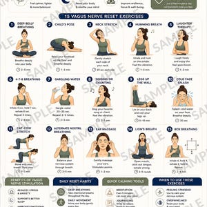 May include: A Vagus Nerve Reset Blueprint infographic featuring 15 numbered exercises with illustrations of a person performing each activity. The chart includes text headers, icons, and instructions for stress relief, nervous system support, and daily habits.