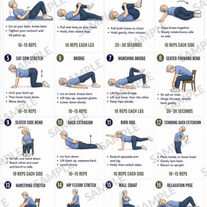 May include: An instructional poster titled Lower Back Exercises for Seniors featuring 16 numbered illustrations of a person performing gentle movements. Each step includes a brief description and repetition count for exercises like pelvic tilts and bridges.