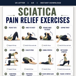 Sciatica Pain Relief Exercises Poster, 16 Stretches Printable, Lower Back Pain Wall Art, Physical Therapy Guide, A4 US Letter