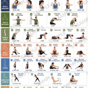 Op de afbeelding: Een witte instructieposter met de titel 40 FULL BODY STRETCHES FOR DAILY MOBILITY. Het bevat 40 genummerde illustraties van personen die verschillende rekoefeningen uitvoeren, gecategoriseerd per lichaamsdeel, met tekst en tijdsduur.