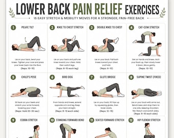 Ejercicios para aliviar el dolor lumbar / Tabla de 16 ejercicios fáciles de estiramiento y movilidad / Imprimible para aliviar el dolor de espalda sin equipo / Descarga digital