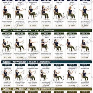 May include: A 28-day seated Tai Chi weight loss challenge chart featuring a grid of daily exercise routines. Each day displays a person in a chair performing specific movements with text instructions, time goals, and weekly progression headers.