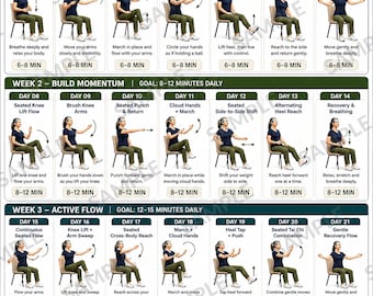 Tai Chi Chair Workout for Weight Loss, 28 Seated Exercises for Women, Low Impact Chair Exercise Printable, Beginner Workout Chart PDF