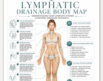 Full Body Lymphatic Drainage Printable Map, Lymph Flow Massage Guide PDF, Wellness Circulation Chart, Puffiness Support Digital Download PDF