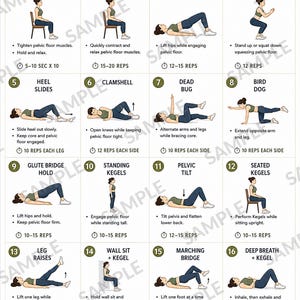 May include: A Pelvic Floor Strength Routine chart featuring sixteen numbered exercise illustrations with instructions. The grid displays movements like bridge lifts, squats, and leg raises, with bottom icons highlighting benefits like bladder control.