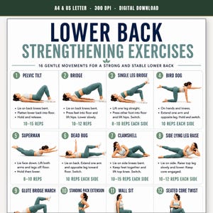 Lower Back Stretching Routine Printable Chart, Back Stretching PDF Poster,  16 Gentle Stretches to Release Tight Lower Back,