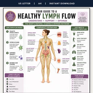 May include: An educational infographic titled Your Guide to a Healthy Lymph Flow, featuring a central anatomical illustration of the human lymphatic system, labeled nodes, organs, and text explaining how lymph flow works and ways to support it.