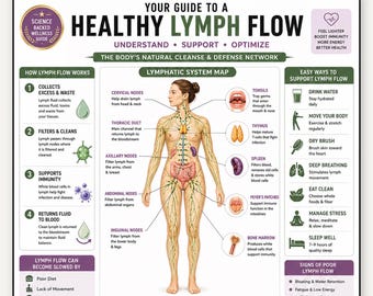 Lymphatic System Anatomy Poster Printable, Lymph Nodes Organs & Pathways Chart, Educational Wellness Wall Art, Massage Therapist PDF