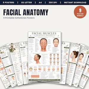 Peut inclure: Un ensemble de neuf affiches imprimables sur l'anatomie faciale pour les traitements esthétiques. L'affiche centrale présente des schémas détaillés des muscles faciaux, des zones d'injection et des muscles d'expression avec des textes explicatifs.