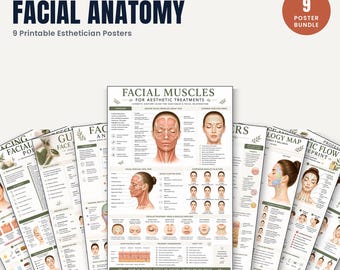Bundel gezichtsanatomie en esthetiek | 9 posters gezicht spier zenuw Huidmassage en guasha | Spaset voor schoonheidsspecialiste