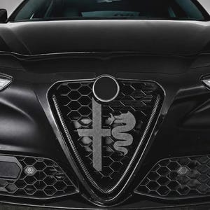 May include: The front grille of a black car featuring a triangular frame with a honeycomb mesh pattern. Centered on the grille is a dark grey emblem depicting a cross on the left and a serpent on the right, positioned below a circular badge.