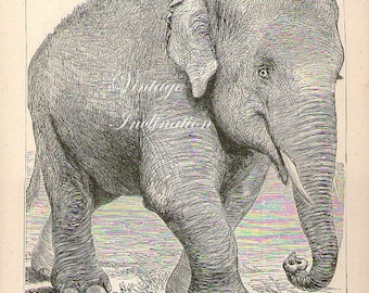 1871 ANTIQUE ASIATIC ELEPHANT Art Print, Engraving, animal animals 1800s print plate 51