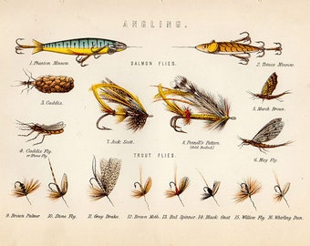 Antique Print, 1890 ANGLING Chart beautiful wall art vintage color chromolithograph illustration fishing Australia