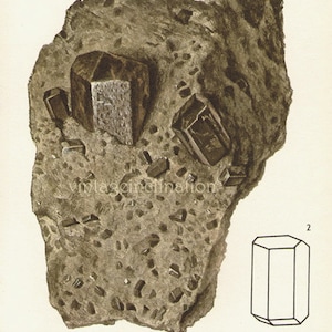 Vintage Print Rocks and Minerals, crystals of Hornblende