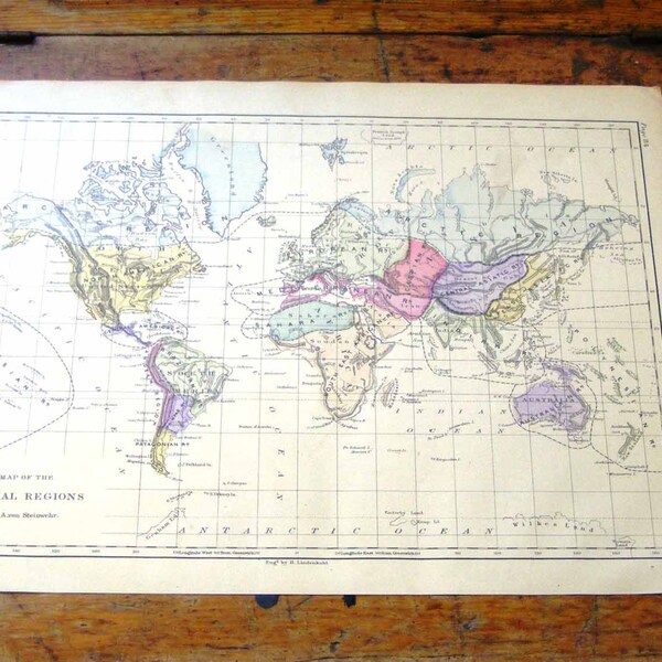 1873 Vintage Wall Chart, Animal Regions, Map of the World, geographical World Atlas map