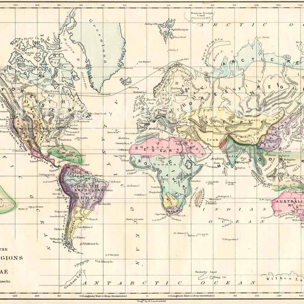 Vintage World Map 1873 original