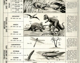 Vintage 1940 Dinosaur Black and White Chart Print to frame