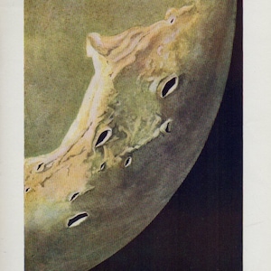 Vintage 1920 Antique THE MOON - Maiden Plate VIII Planeten Sternzeichen Druck, Astronomie Konstellationen - Sterne Sonne Mond Erde Sonnensystem