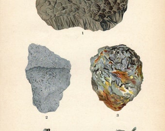 Vintage 1911 SILVER Minerals Print Antique Gems Precious Stones print gemstones print, bookplate art print, minerals wall print wall art 2