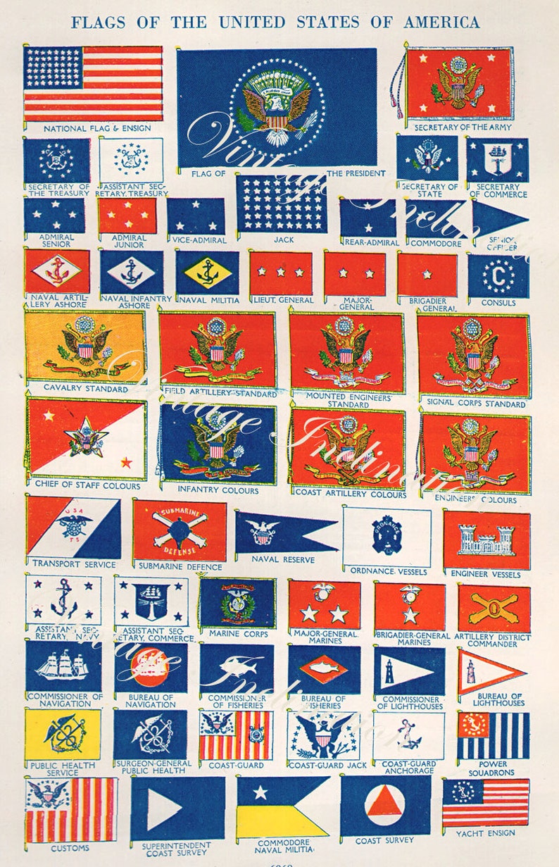 50 States Information Chart