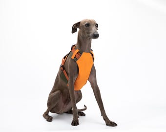 Breathable No-Pull Adjustable Dog Harness with Durable Buckles and Safety Straps