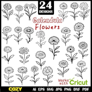 May include: Black and white line art of 24 calendula flower designs. The text "24 Designs" is at the top, with "Calendula Flowers" in red below. The image also includes "Works with Cricut" and file type information.
