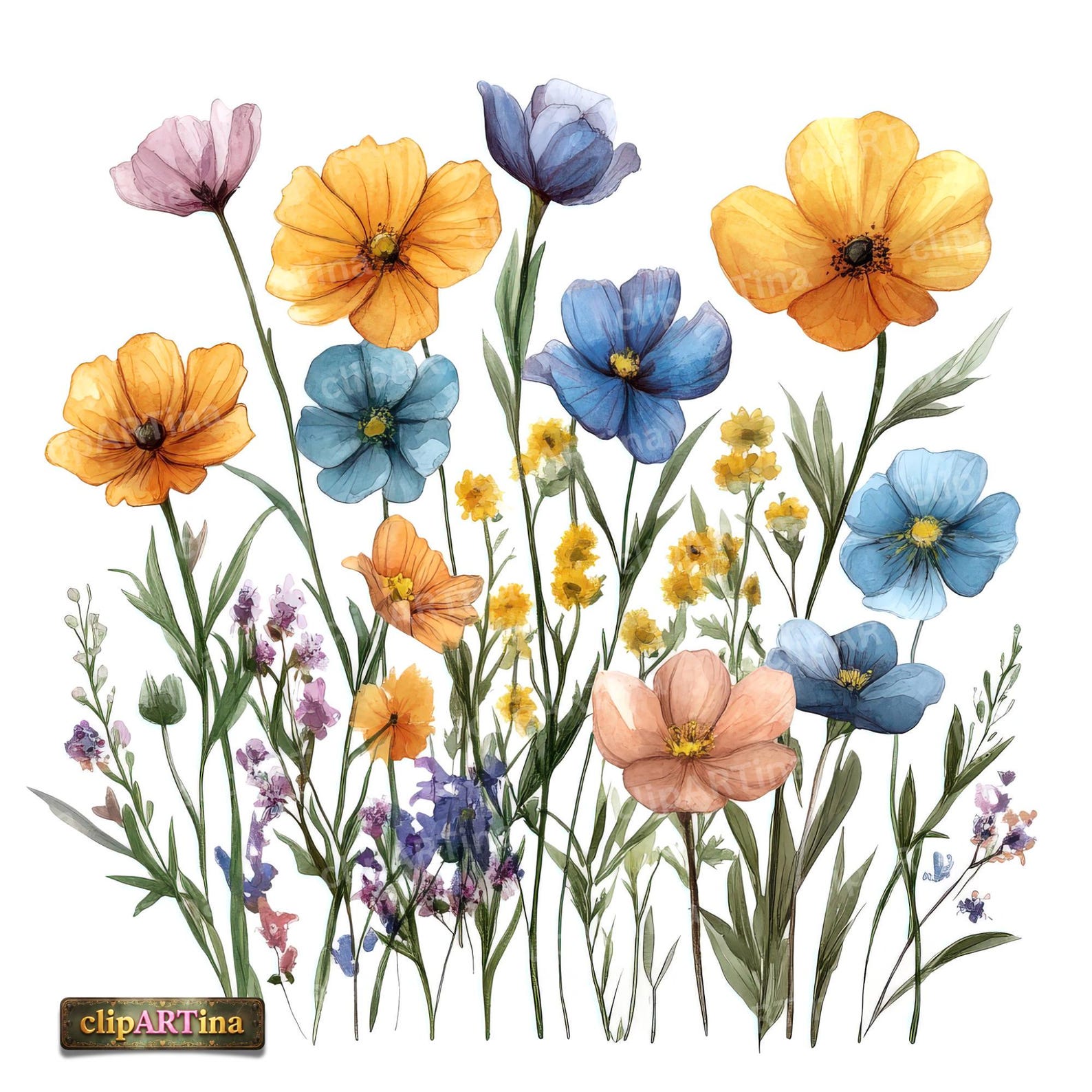 12 JPG Wildflowers Clipart Bundle – Colorful Watercolor Flowers ...