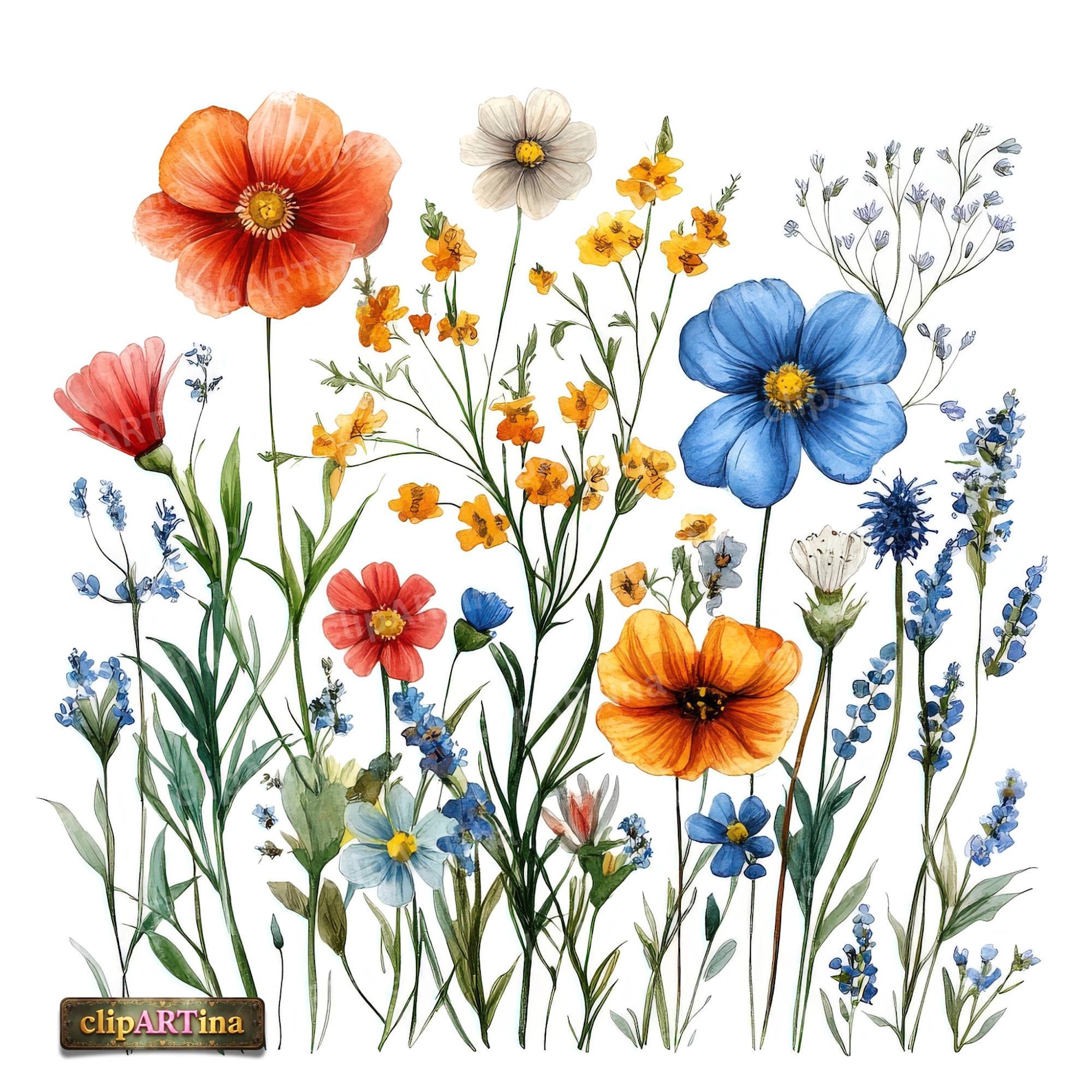 12 JPG Wildflowers Clipart Bundle – Colorful Watercolor Flowers ...