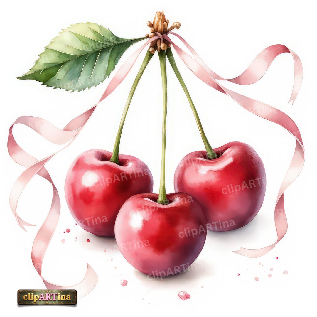 24 JPG Cherry Bow Clipart Bundle – Coquette Watercolor Cherries With ...