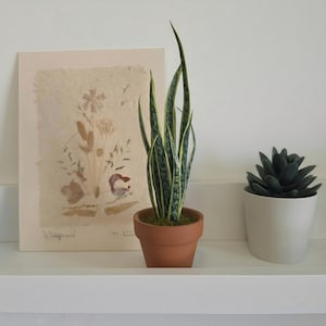 May include: A still-life arrangement featuring a potted snake plant with green and yellow striped leaves in a terracotta pot. A framed botanical print and a small succulent in a white pot complete the display, set against a white background.