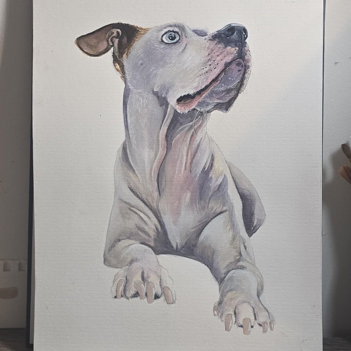 Custom Pet Portrait From Photo, Hand Painted Watercolor Dog & Cat ...