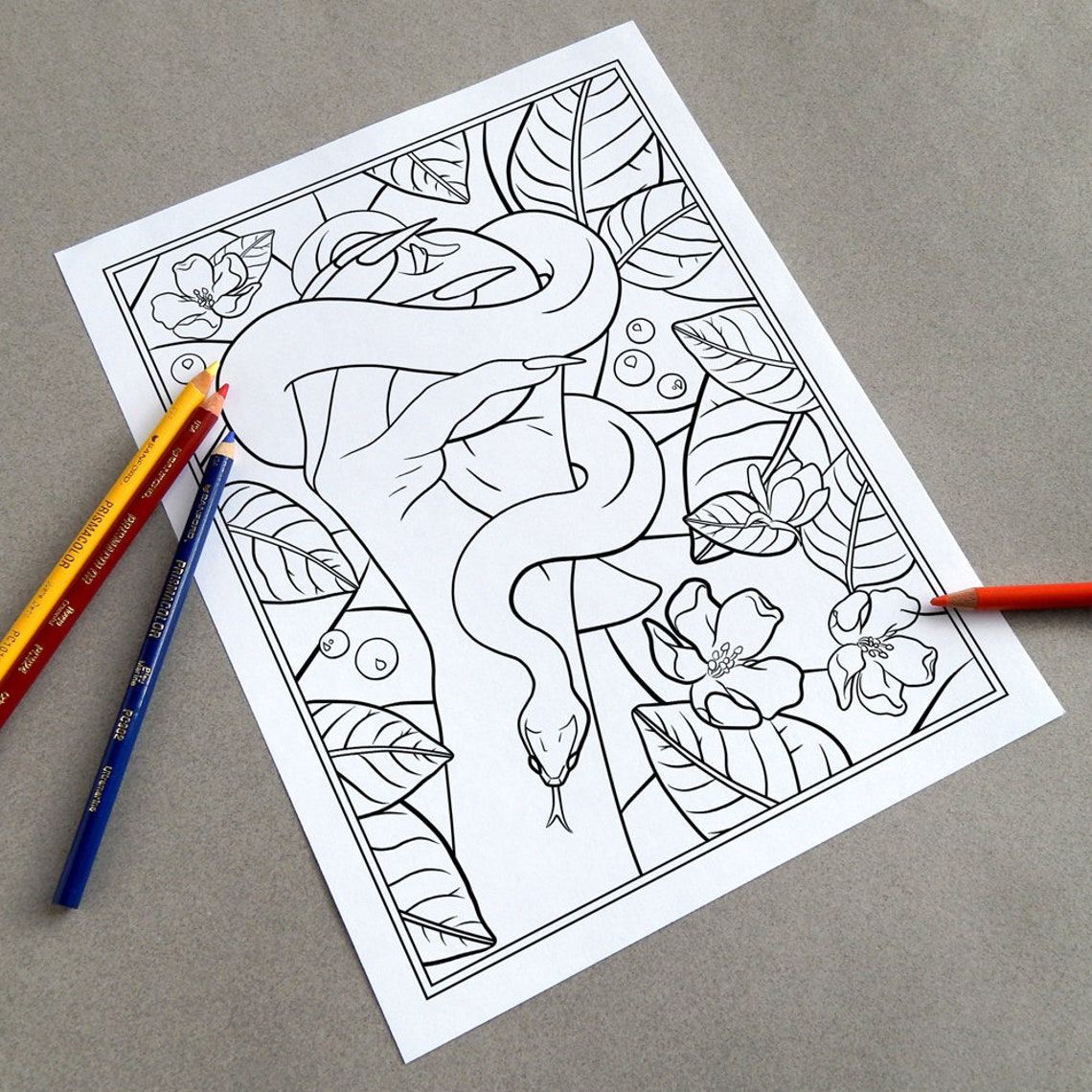 Snake en Apple Coloring Page: instant JPG download Garden of - Etsy ...