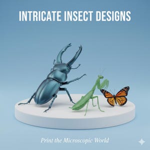 Può includere: Uno scarabeo verde acqua, una mantide religiosa verde e una farfalla arancione con segni neri sono esposti su una piattaforma bianca su sfondo blu. Il testo "Intricate Insect Designs" e "Print the Microscopic World" sono visibili.