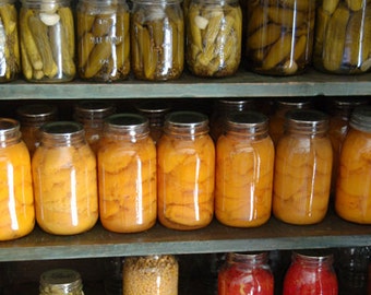Off Grid Preppers 66 Self Sufficiency Survival Books About Homesteading Home Canning Preserving Instant Digital Download