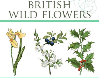 Illustrated Color Guide To BRITISH WILD FLOWERS Everything The Country Rambler or Artist Needs To Know 328 pages Printable Instant Download