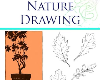 The Illustrated Guide To NATURE DRAWING on Plants and Flowers From Various Points Of View For Art Students 166pgs Printable Instant Download