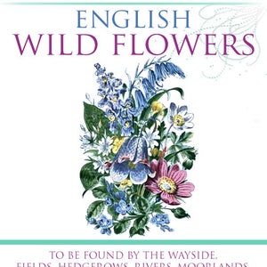 ENGLISH WILD FLOWERS with Numerous Illustrations and Coloured Plates and Wild Flower Descriptions 309 pages Printable Instant Download