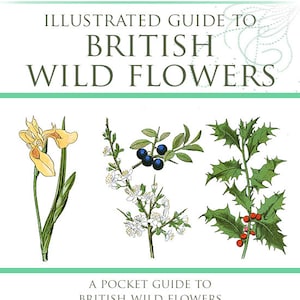 Illustrated Color Guide To BRITISH WILD FLOWERS Everything The Country Rambler or Artist Needs To Know 328 pages Printable Instant Download