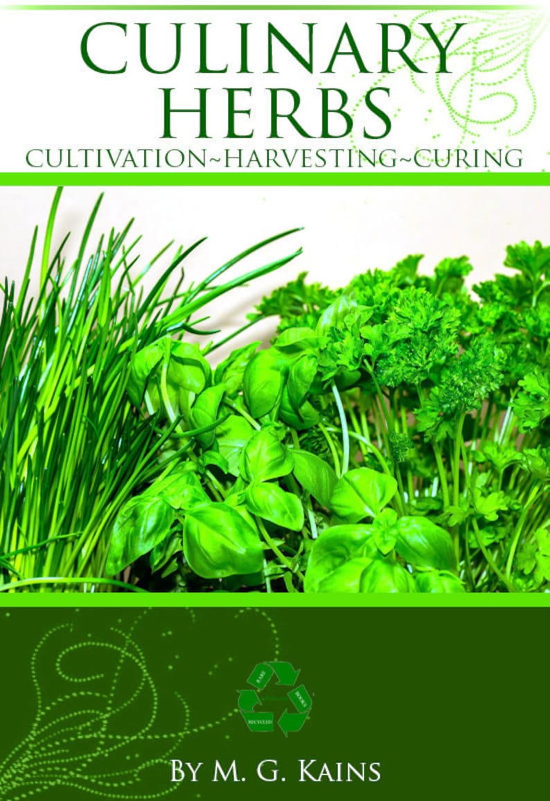 Culinary herbs; their cultivation, harvesting, curing and uses